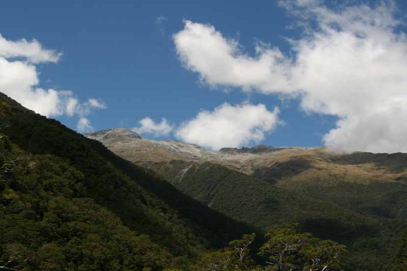 Nieuw-Zeeland 2011 - 1576